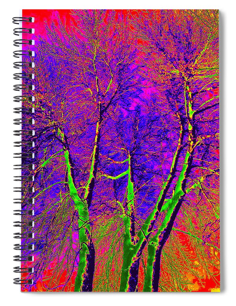 Wild Spiral Notebook featuring the photograph Green Trees by Jodie Marie Anne Richardson Traugott     aka jm-ART