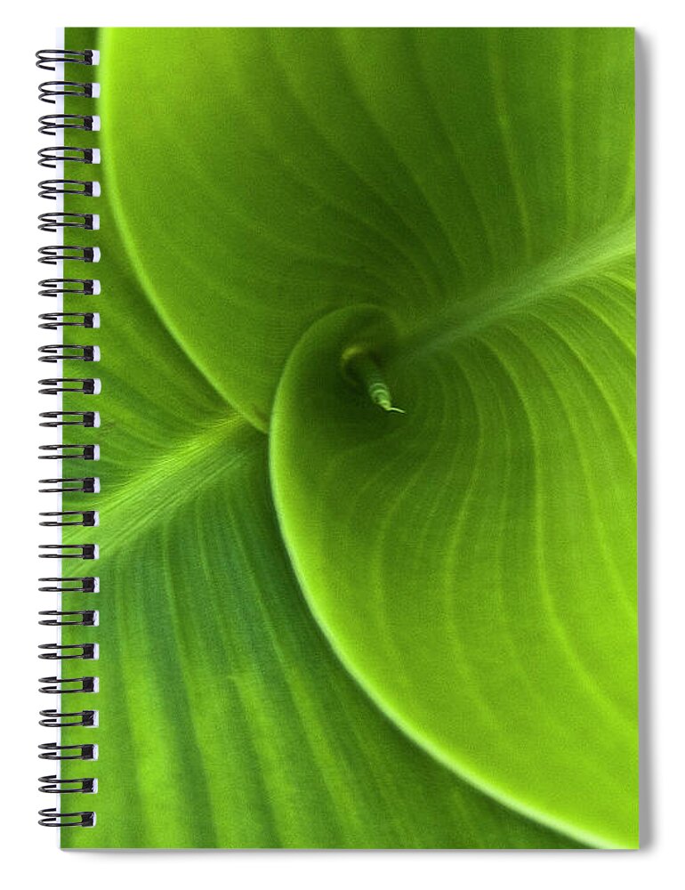 Heiko Spiral Notebook featuring the photograph Green Twin Leaves by Heiko Koehrer-Wagner