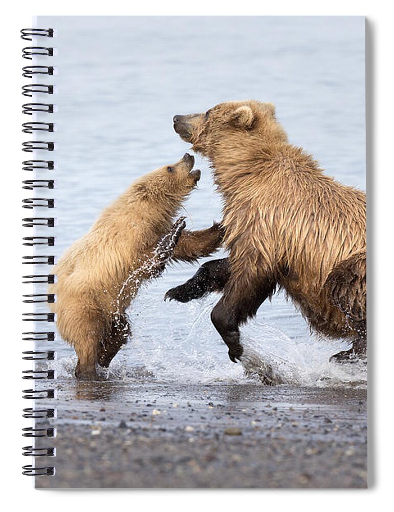 Richard Garvey-williams Spiral Notebook featuring the photograph Grizzly Bear Mother Playing by Richard Garvey-Williams
