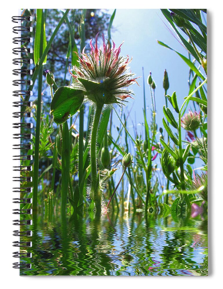 Weeds Spiral Notebook featuring the photograph Ground Level Flora by Joyce Dickens