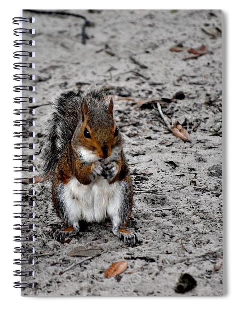 Squirrel Spiral Notebook featuring the photograph Ground Squirrel by Tara Potts