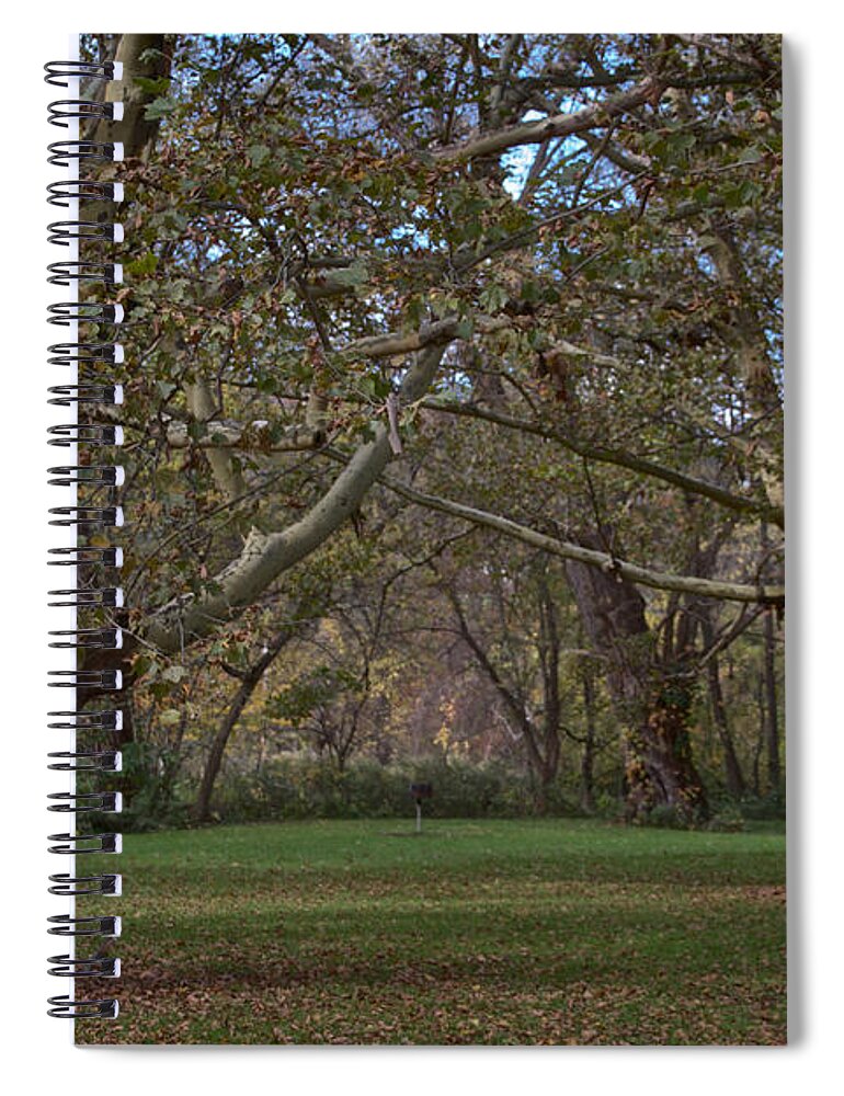 Allen's Creek Spiral Notebook featuring the photograph Grove of Trees by William Norton