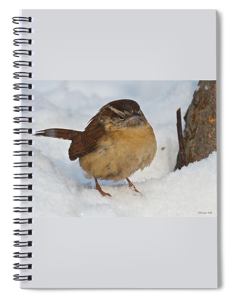 Birds Spiral Notebook featuring the photograph Grumpy Wren by Kristin Hatt
