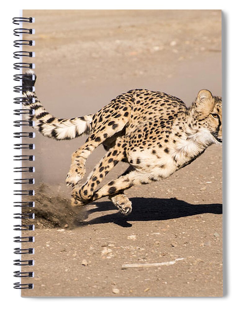 Cheetah Spiral Notebook featuring the photograph Guided Missile by Alex Lapidus