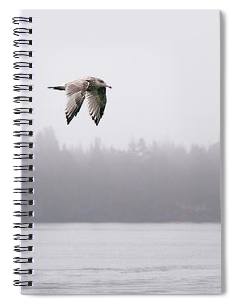 Gull Spiral Notebook featuring the photograph Gull in Flight by Marty Saccone