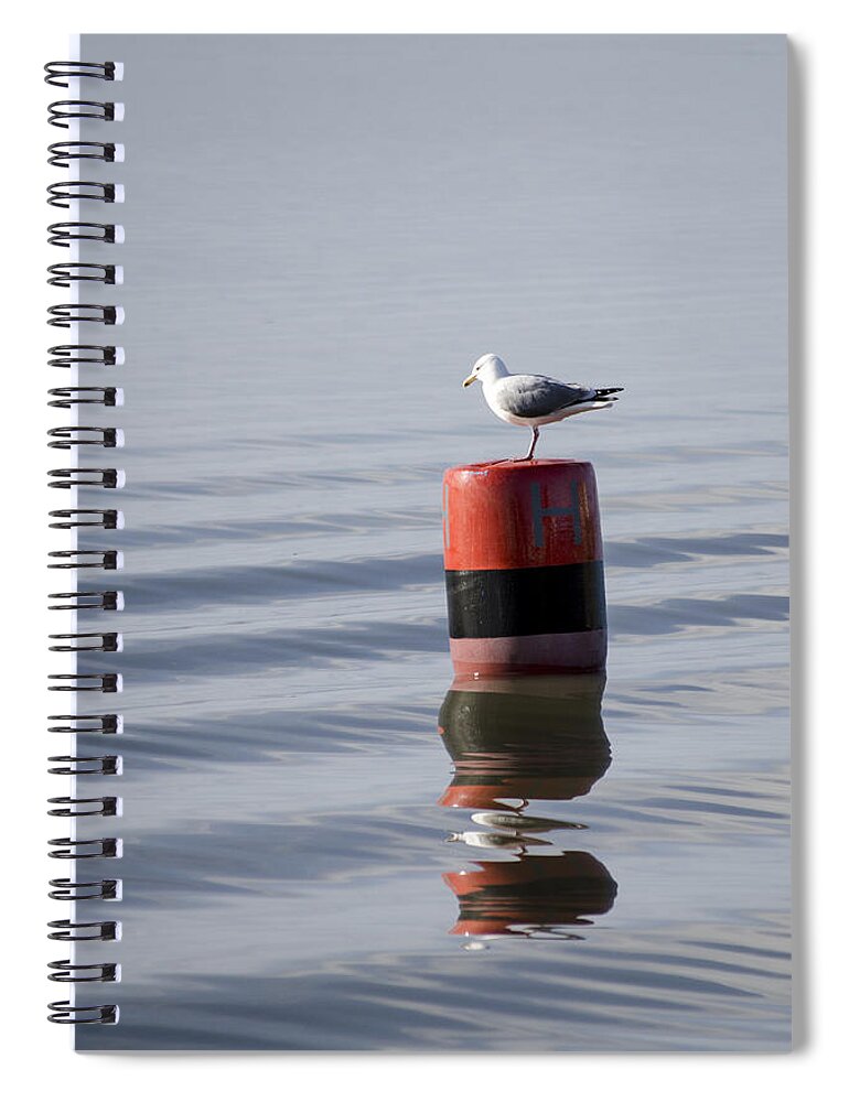 Sand Spiral Notebook featuring the photograph Gull by Spikey Mouse Photography