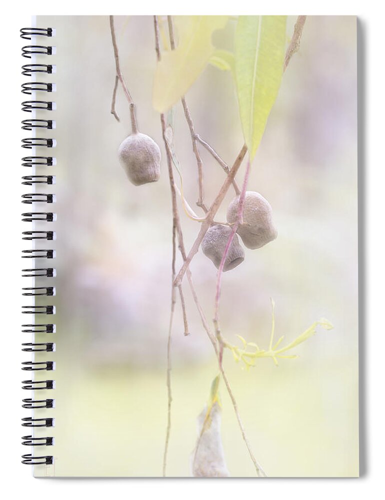 Foliage Spiral Notebook featuring the photograph Gum Nuts by Elaine Teague