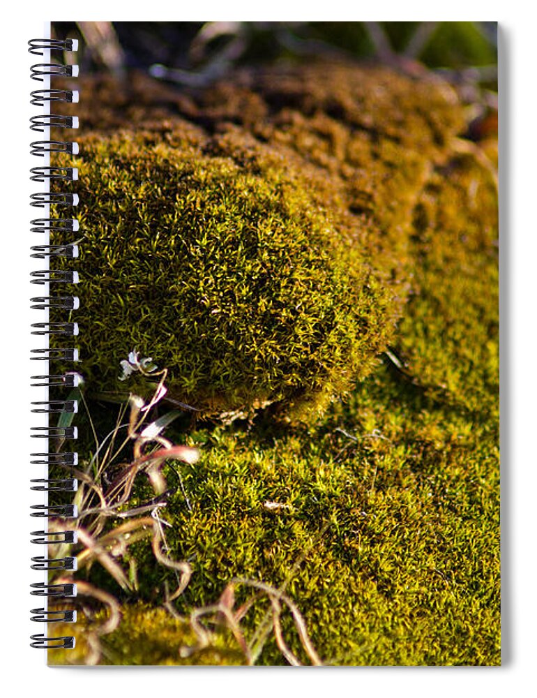 Gunk Spiral Notebook featuring the photograph Gunk by Joel Loftus