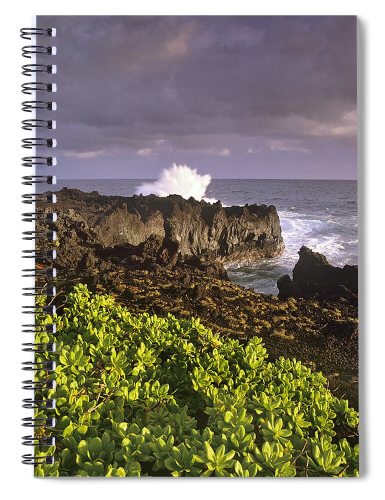 Feb0514 Spiral Notebook featuring the photograph Hana Coast At Maui Hawaii by Tim Fitzharris