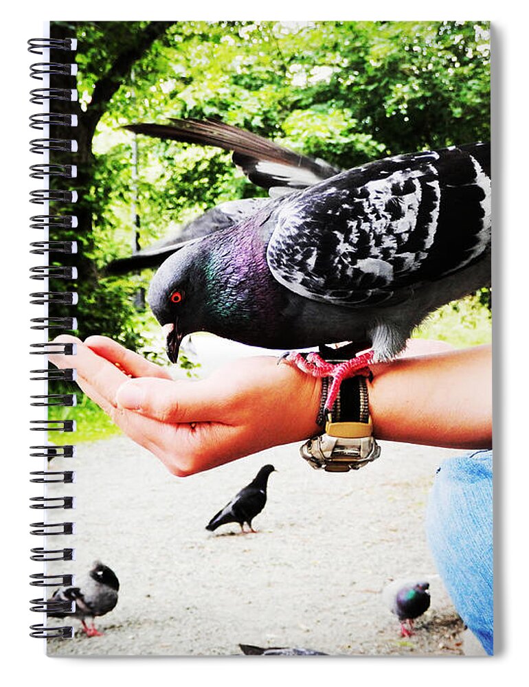 Pigeon Spiral Notebook featuring the photograph Handful Happiness by Zinvolle Art