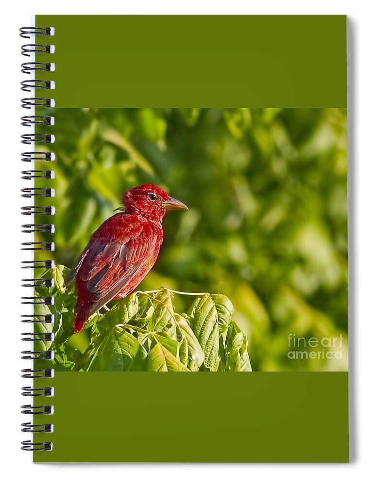 Handsome Young Fellow Spiral Notebook featuring the photograph Handsome Young Fellow by Gary Holmes
