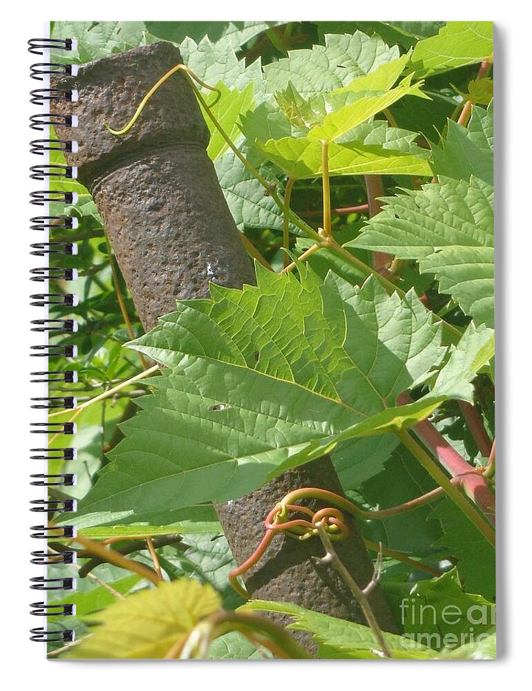 Ivy Spiral Notebook featuring the photograph Hang Tight by Christina Verdgeline