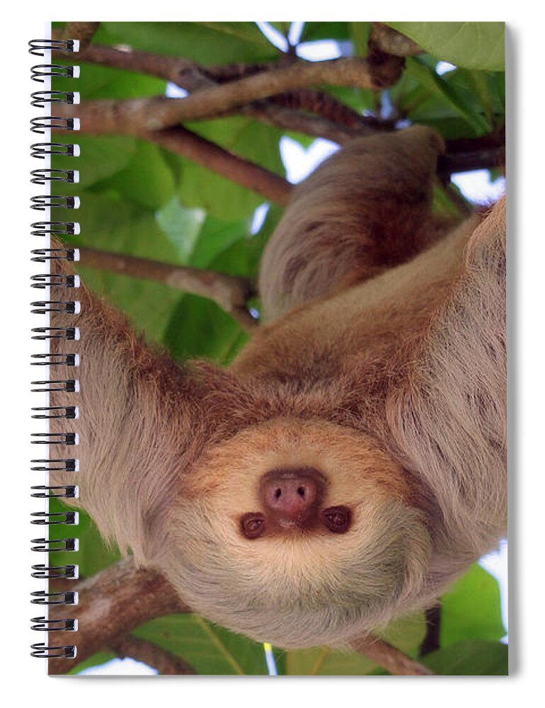 Wildlife Spiral Notebook featuring the photograph Hangin' Out by Bob Hislop