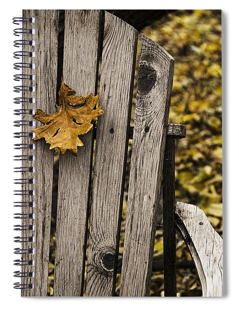 Autumn Spiral Notebook featuring the photograph Hanging On by Sandra Parlow