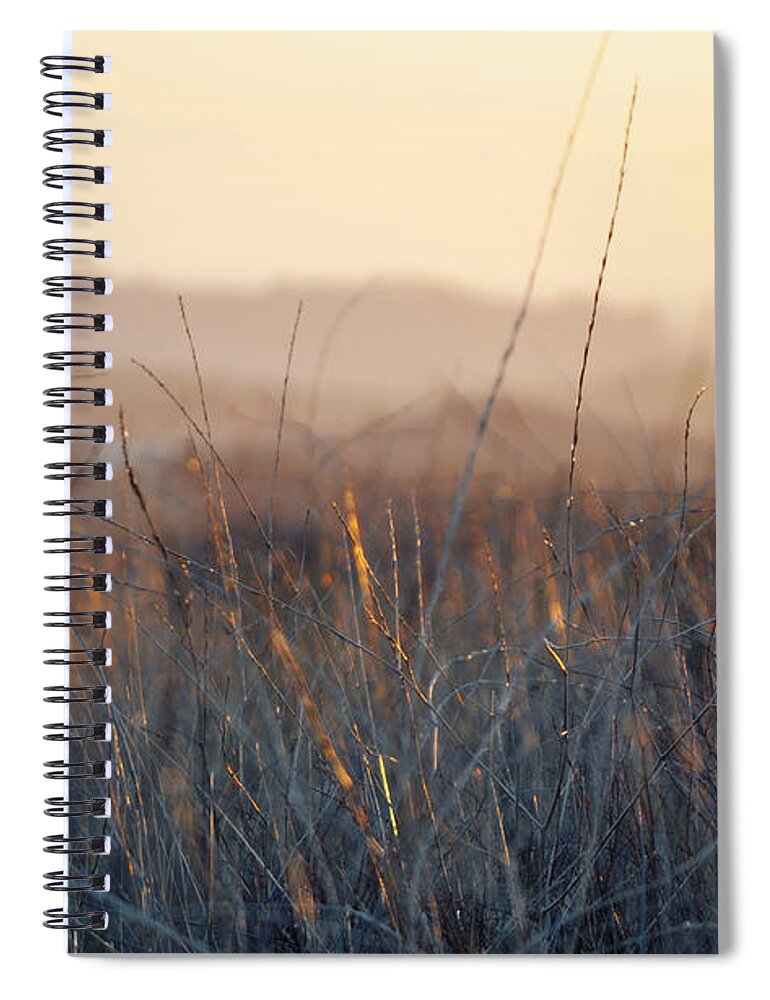 Happy Camp Canyon Spiral Notebook featuring the photograph Happy Camp Canyon Magic Hour by Kyle Hanson