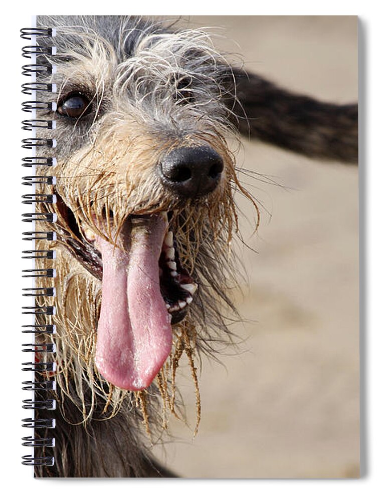 Animal Spiral Notebook featuring the photograph Happy dog on a beach by Steve Ball