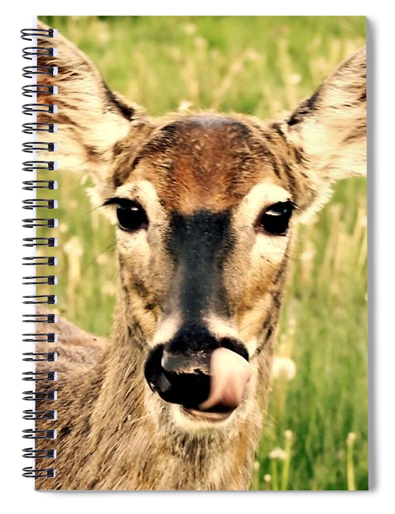 Deer Spiral Notebook featuring the photograph Happy by Tami Quigley