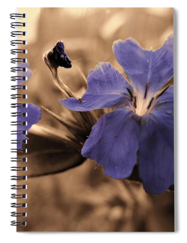 Macro Flower Spiral Notebook featuring the photograph Harmony by Robert ONeil