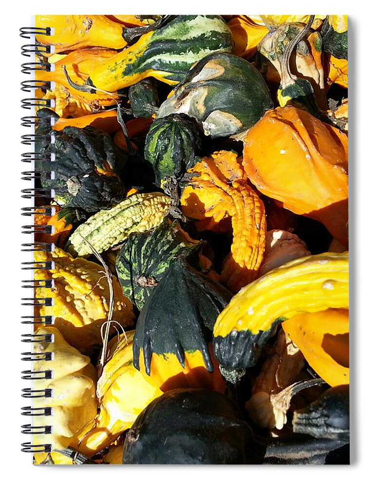 Orange Spiral Notebook featuring the photograph Harvest Squash by Caryl J Bohn