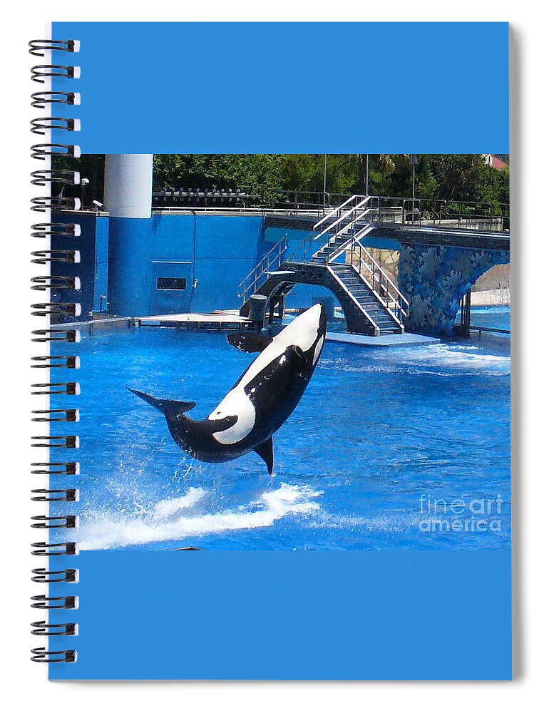 Orca Whale Spiral Notebook featuring the photograph Have A Splash by Lingfai Leung