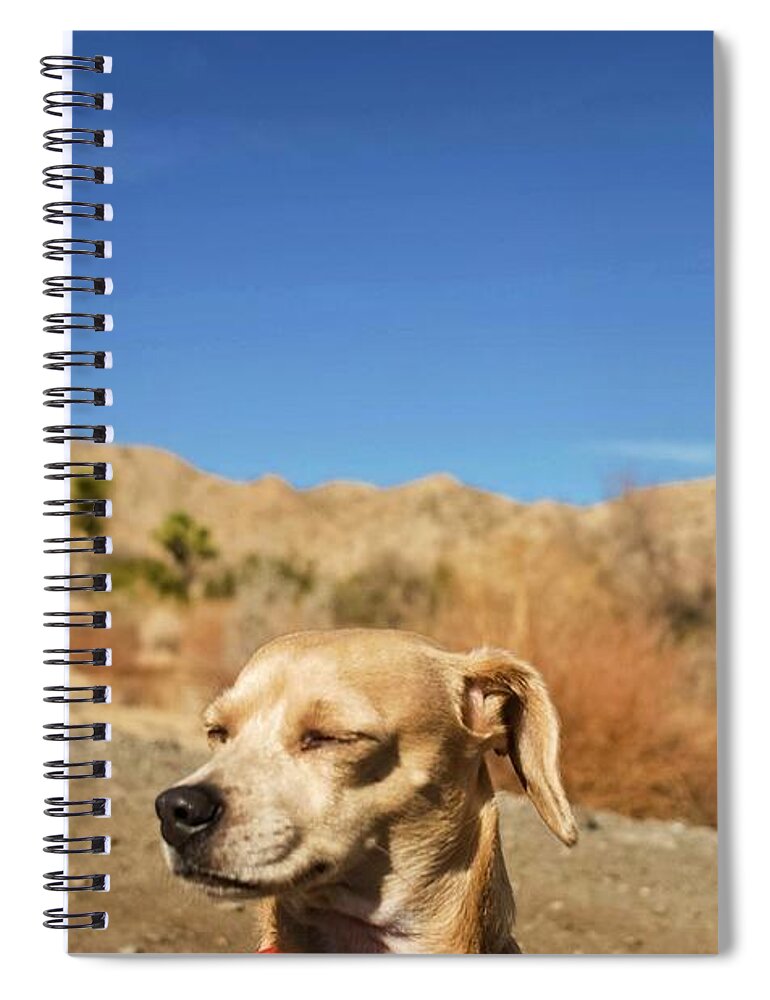 Princess Betty Biscuits Spiral Notebook featuring the photograph HeadachE by Angela J Wright
