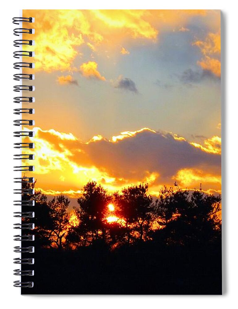 Heart Spiral Notebook featuring the photograph Heart and Soul 2 by Robyn King