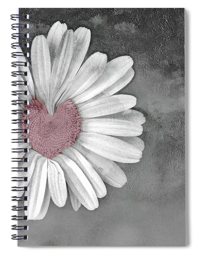 Heart Of A Daisy Spiral Notebook featuring the photograph Heart Of A Daisy by Linda Sannuti