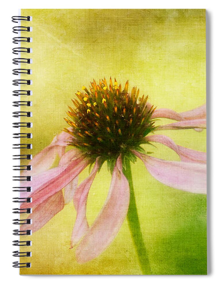 Floral Spiral Notebook featuring the photograph Heart's Desire by Lois Bryan