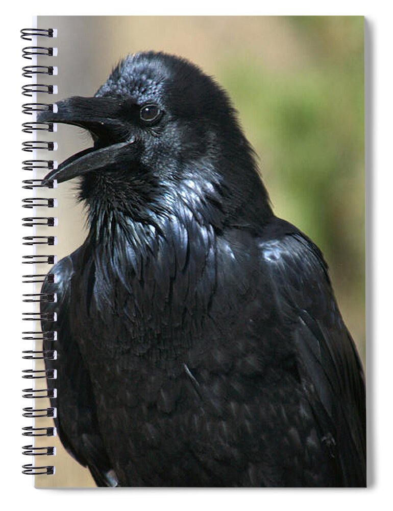 Raven Spiral Notebook featuring the photograph Hello. Welcome by Frank Madia