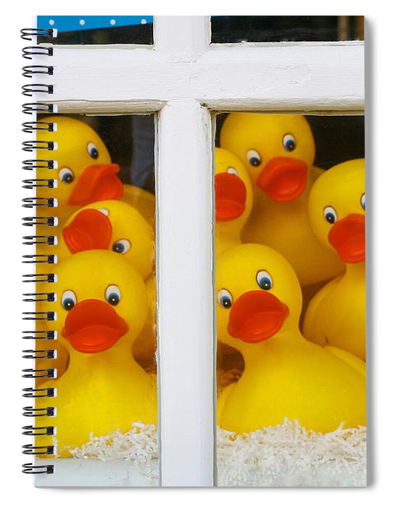 Rubber Duck Spiral Notebook featuring the photograph Help We're Trapped in a Window Display and Can't Get Out by Allen Beatty