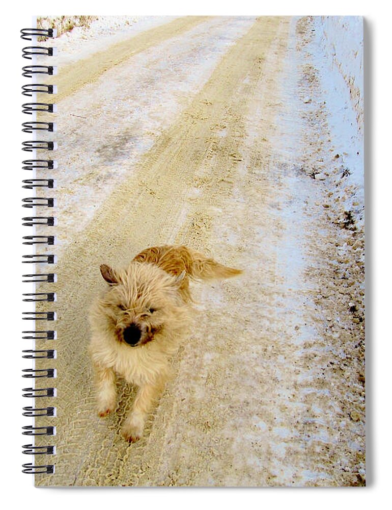 Dog Spiral Notebook featuring the photograph Here I Come by Ramona Matei
