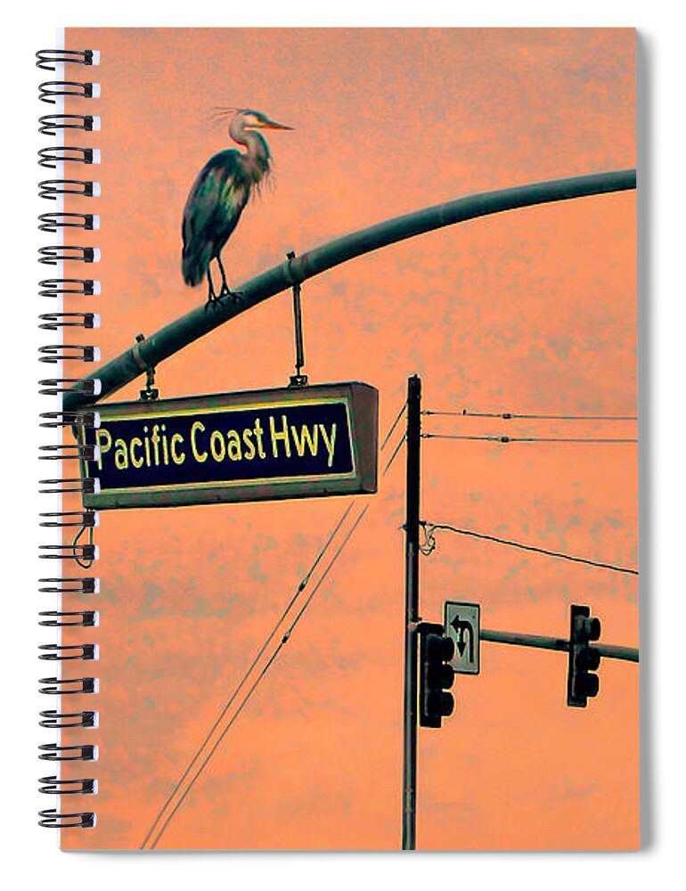 Great Blue Heron Spiral Notebook featuring the photograph Heron on PCH by Jennie Breeze