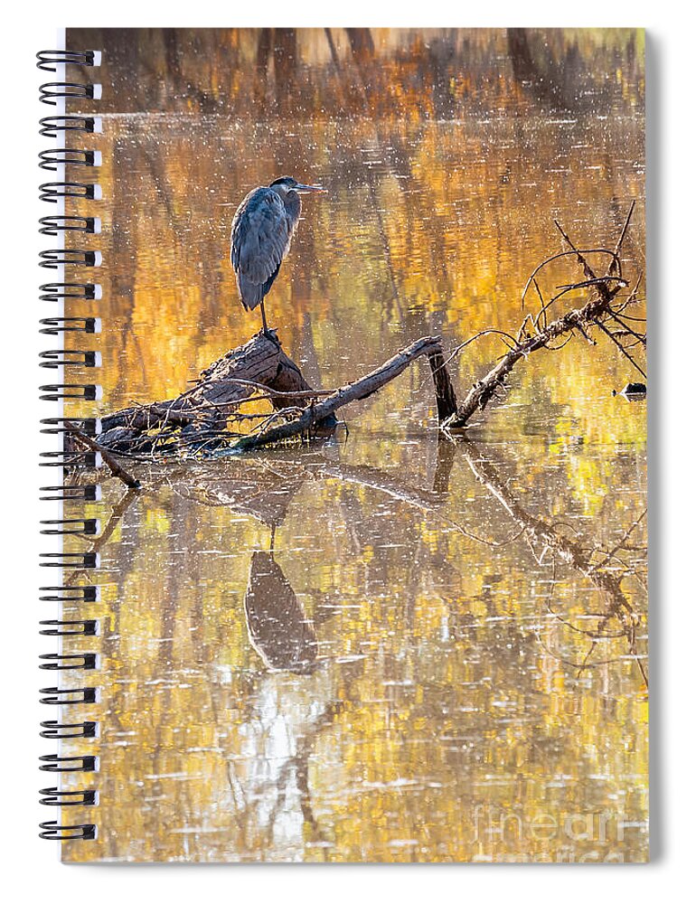 Al Andersen Spiral Notebook featuring the photograph Heron Reflecting by Al Andersen