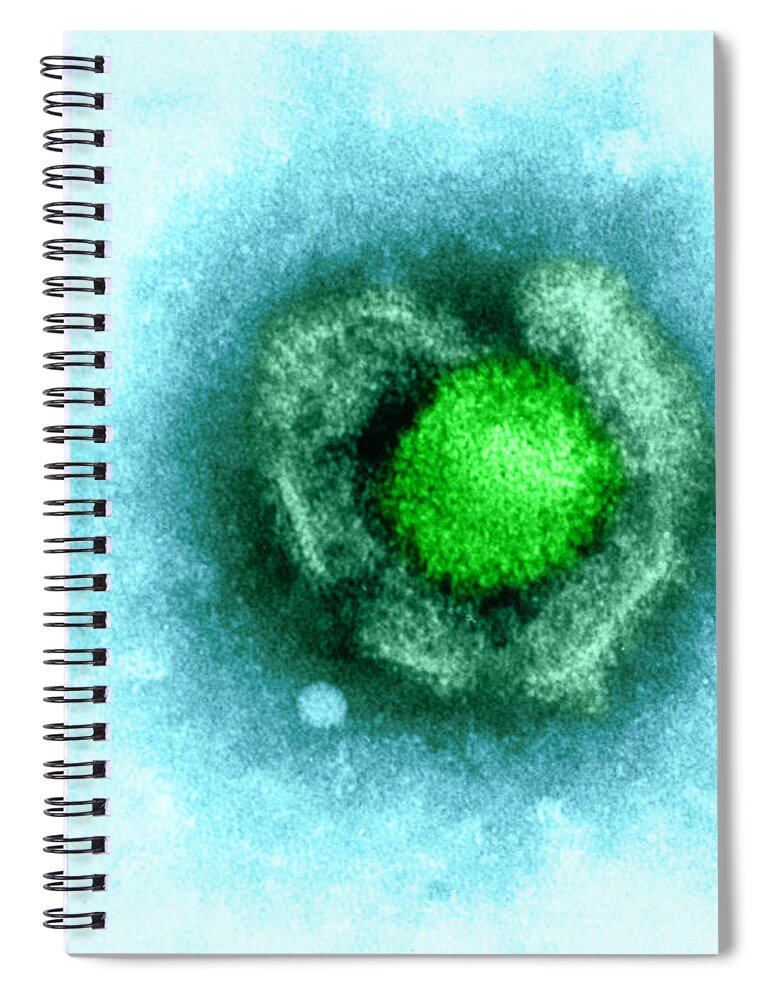 Barr Spiral Notebook featuring the photograph Herpes Simplex Virus by Kwangshin Kim
