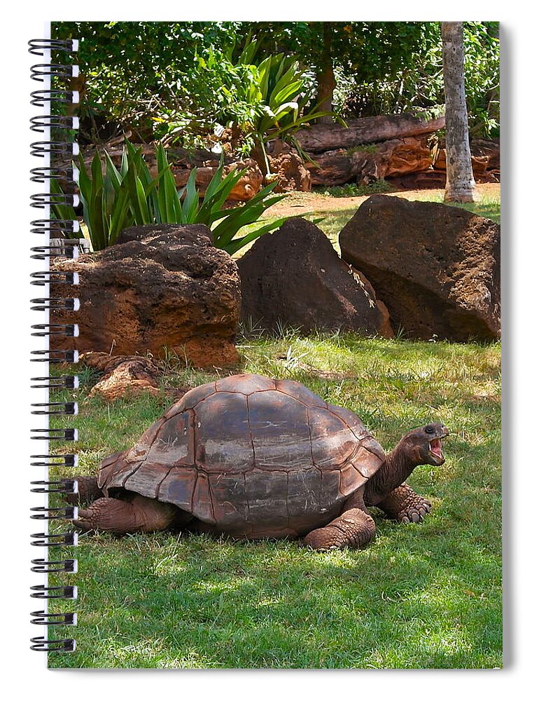 Galapagos Turtle Spiral Notebook featuring the photograph Hey - What About Me by Michele Myers