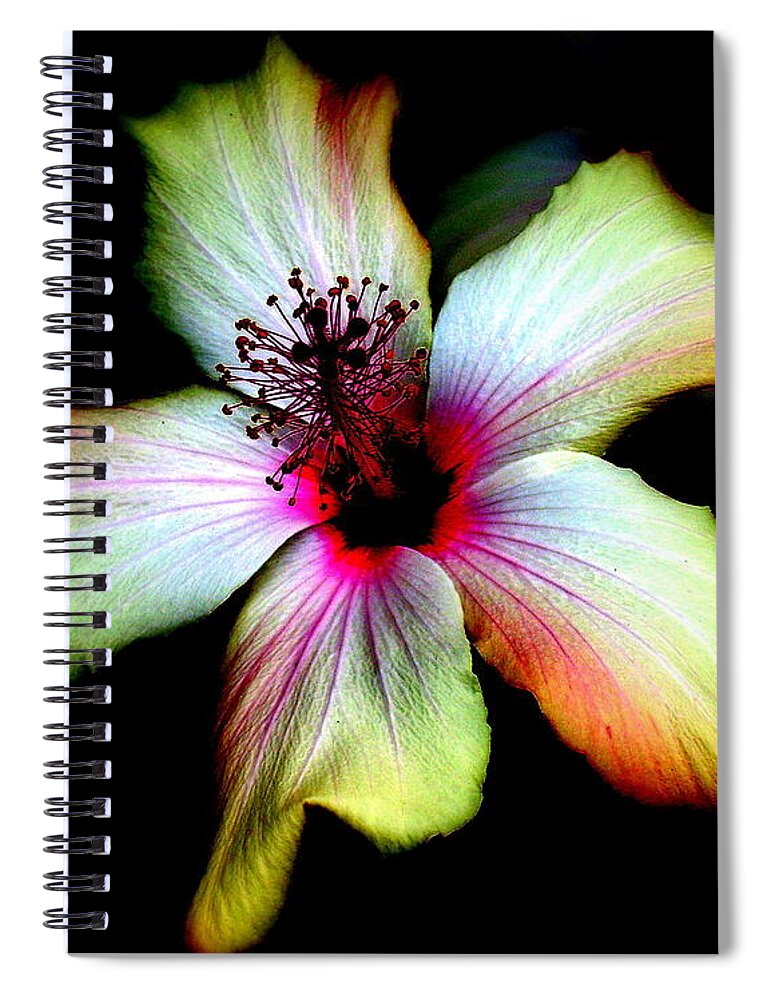 Single Flower Spiral Notebook featuring the photograph Hibiscus by Jodie Marie Anne Richardson Traugott     aka jm-ART