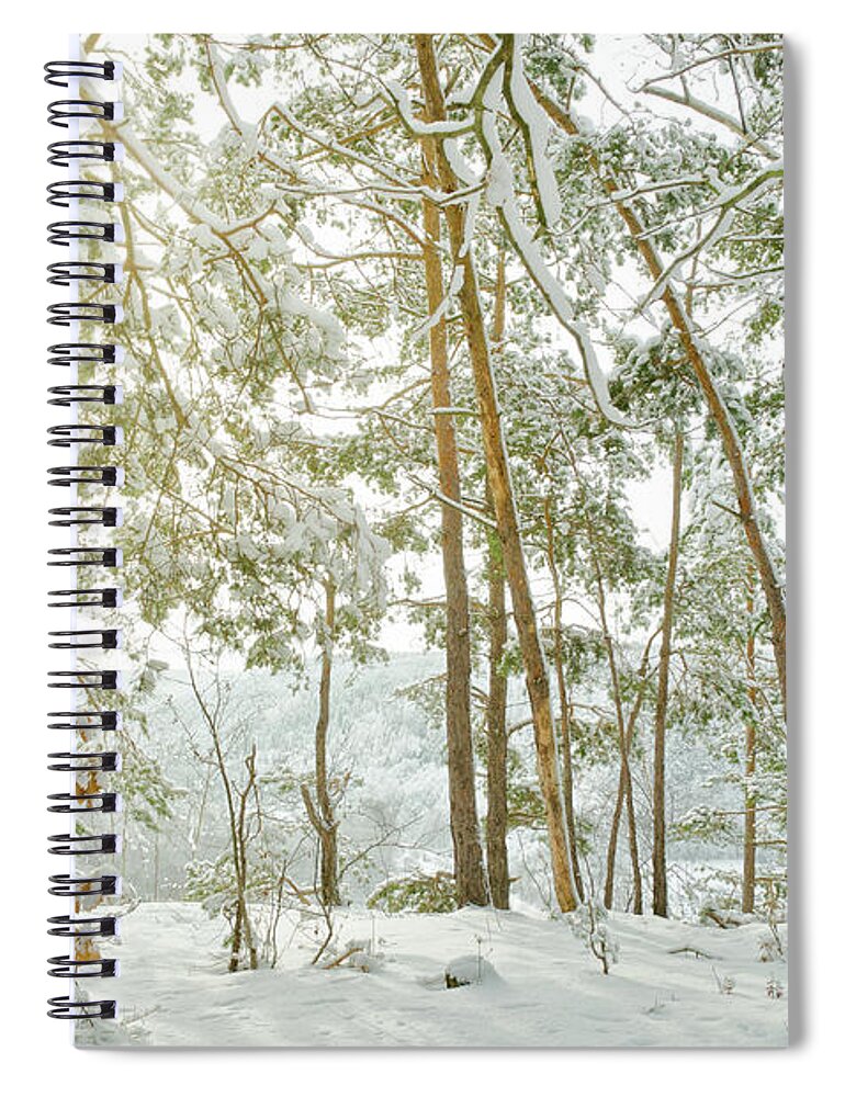 Scenics Spiral Notebook featuring the photograph Hiking Way On A Mountain In Winter by Kerrick