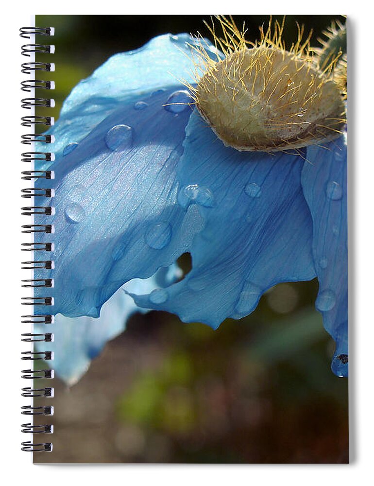 Himalayan Spiral Notebook featuring the photograph Blue Allure by Cheryl Hoyle