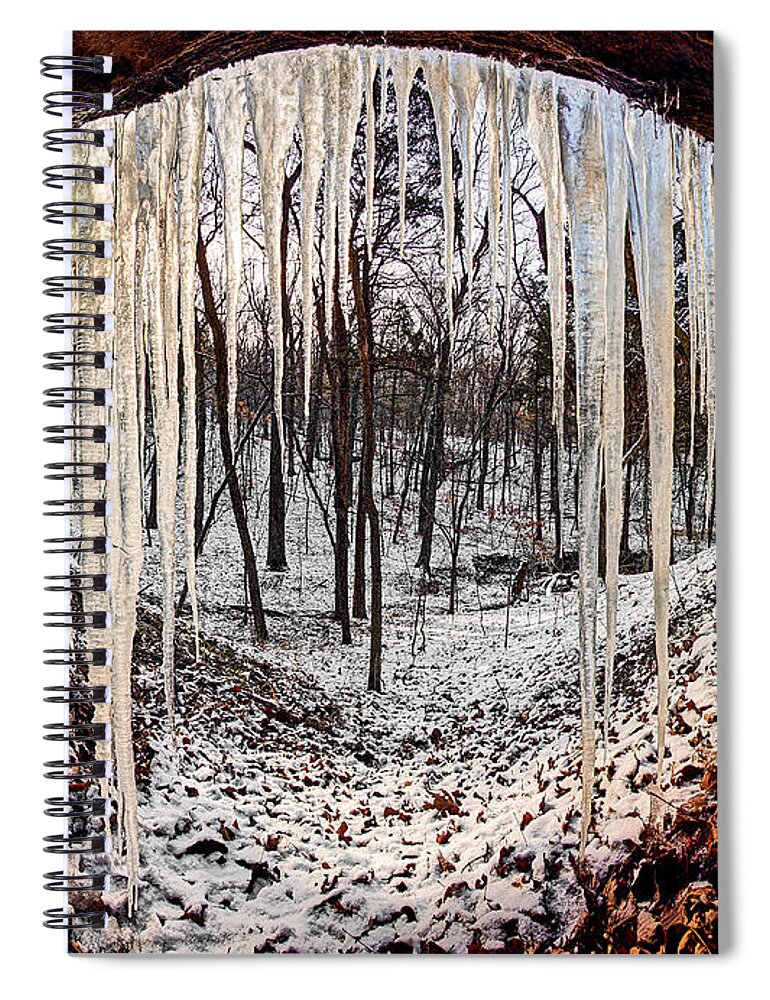 2012 Spiral Notebook featuring the photograph Hinding from winter by Robert Charity
