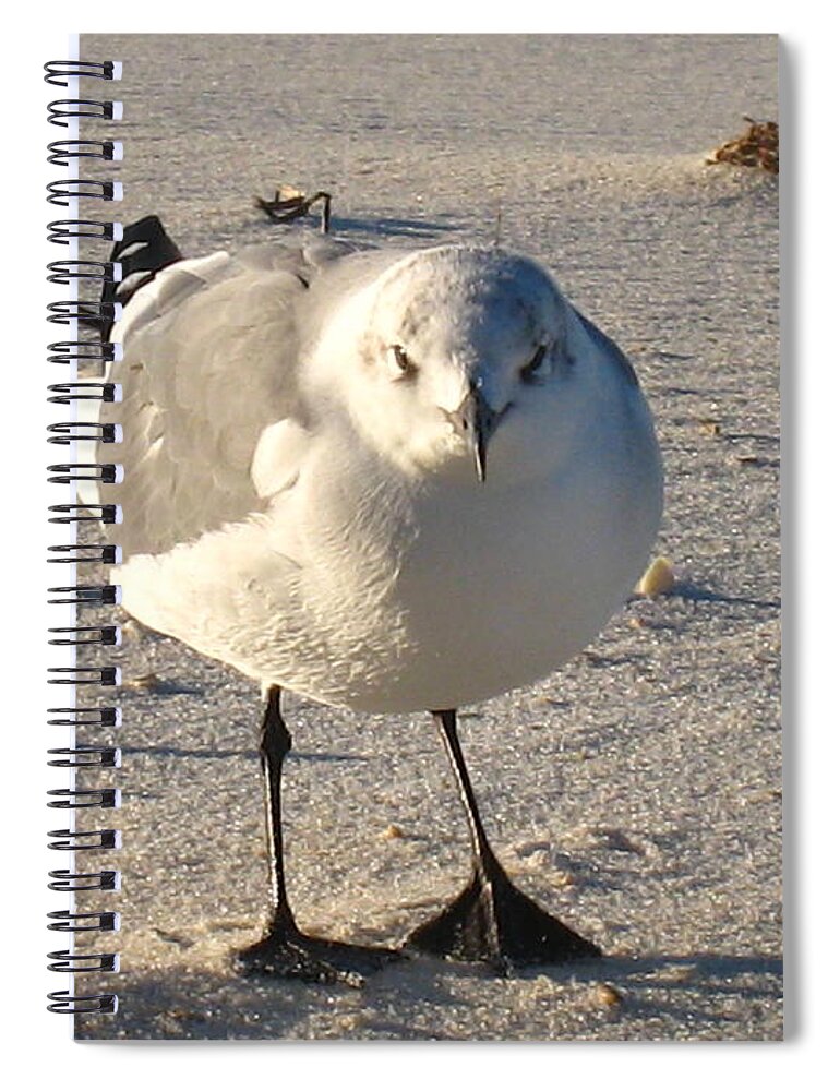 Sand Spiral Notebook featuring the photograph His day by Jennifer E Doll