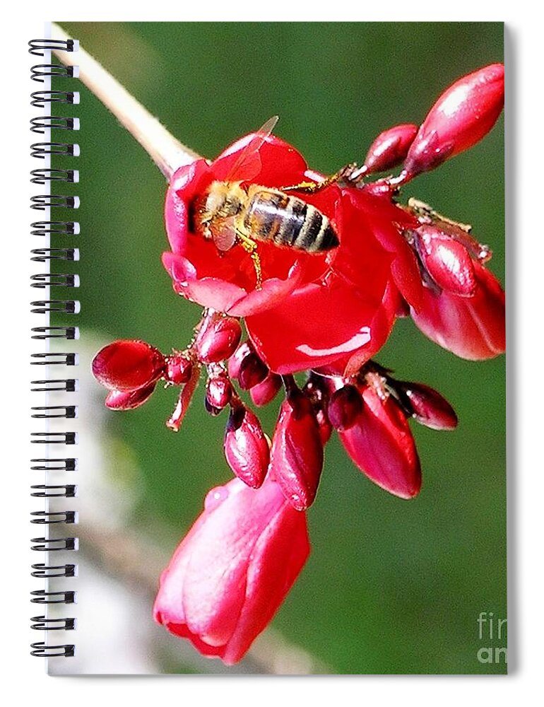 Red Spiral Notebook featuring the photograph Honey Bee at Work by Mary Deal