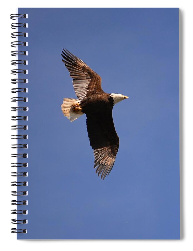 Eagle. Landscape Spiral Notebook featuring the photograph Honor The Veterens by Tamara Michael