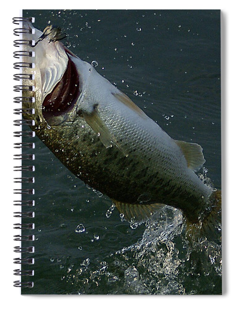 Nature Spiral Notebook featuring the photograph Hooked by Chauncy Holmes