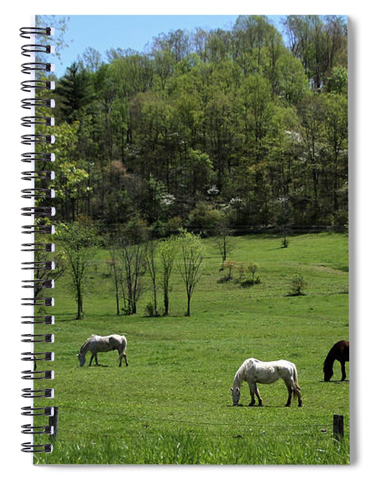 Green Pasture Spiral Notebook featuring the photograph Horse 27 by David Yocum