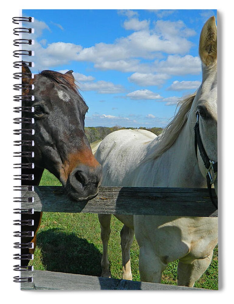 Horse Beauties Spiral Notebook featuring the photograph Horse Beauties by Emmy Marie Vickers