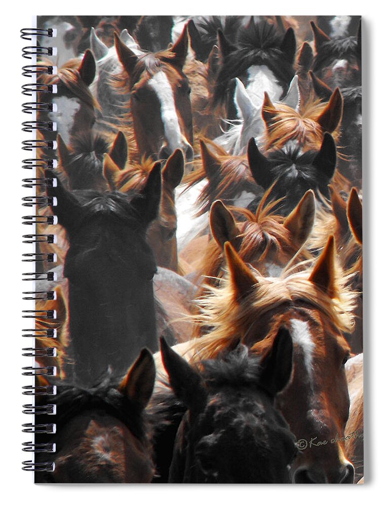 Horses Spiral Notebook featuring the photograph Horse Ears by Kae Cheatham