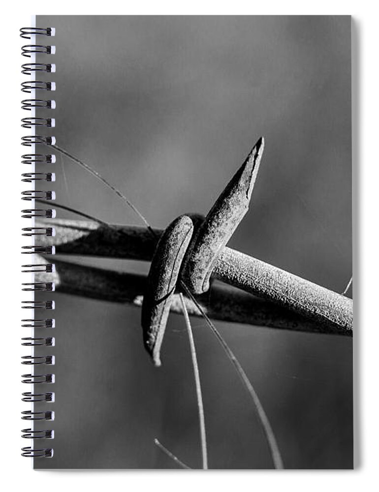 Jay Stockhaus Spiral Notebook featuring the photograph Horse Hair by Jay Stockhaus