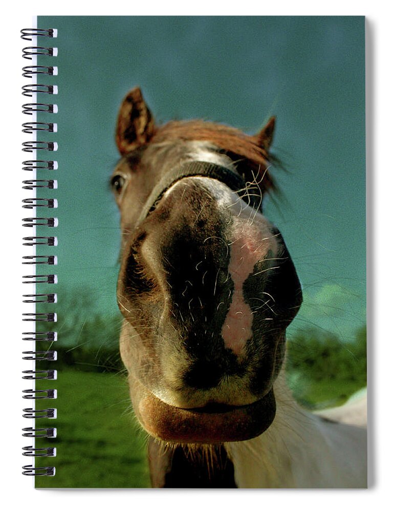 Horse Spiral Notebook featuring the photograph Horse Nose by Eli Rees Photography