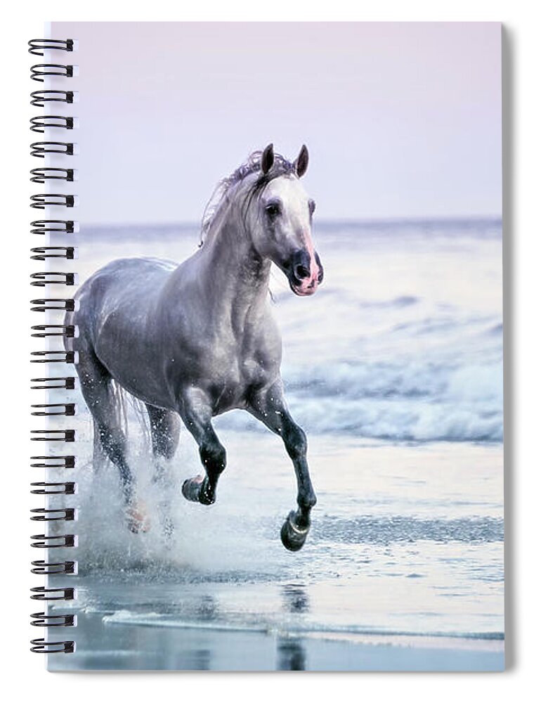 Horse Spiral Notebook featuring the photograph Horse Running On Beach by Lisa Van Dyke