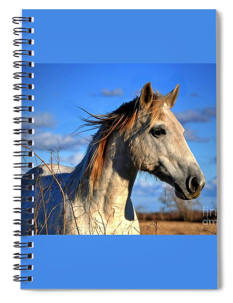 Horse Spiral Notebook featuring the photograph Horse by Savannah Gibbs